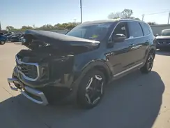 5XYP64GC8RG548016 2024 KIA TELLURIDE