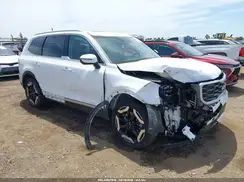 5XYP64GC8RG562997 2024 KIA TELLURIDE