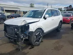 5XYP64GC9PG336898 2023 KIA TELLURIDE