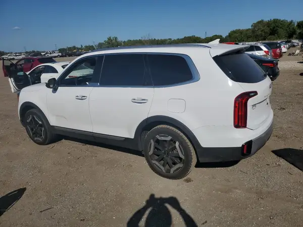 5XYP64GC9RG434770 2024 KIA TELLURIDE - Image 2