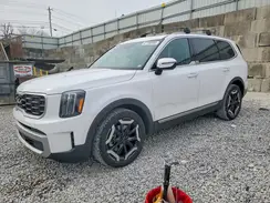 5XYP64GC9RG441525 2024 KIA TELLURIDE