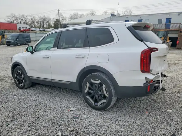 5XYP64GC9RG441525 2024 KIA TELLURIDE - Image 2