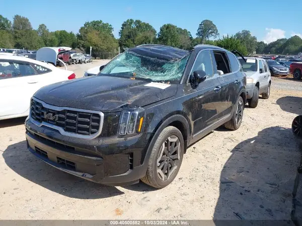 5XYP64GC9RG488988 2024 KIA TELLURIDE - Image 2