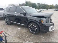 5XYP64GC9RG489185 2024 KIA TELLURIDE