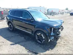 5XYP64GC9RG494354 2024 KIA TELLURIDE