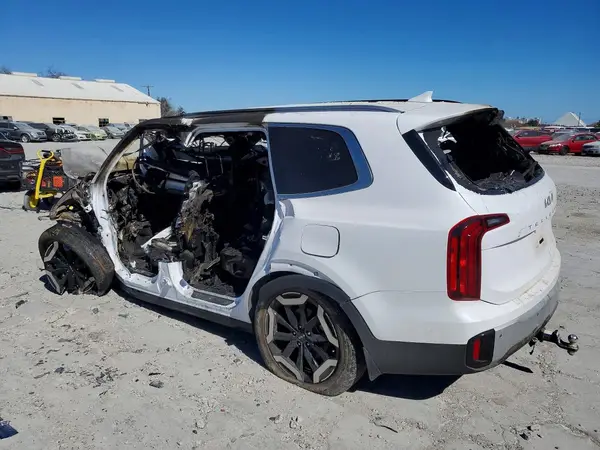 5XYP64GC9RG530978 2024 KIA TELLURIDE - Image 2