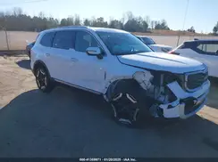 5XYP64GC9RG561423 2024 KIA TELLURIDE
