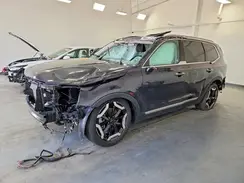 5XYP64GC9SG581533 2025 KIA TELLURIDE