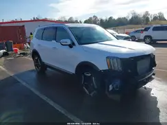 5XYP64GC9SG668963 2025 KIA TELLURIDE