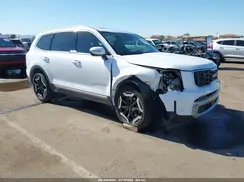5XYP64GCXPG334013 2023 KIA TELLURIDE