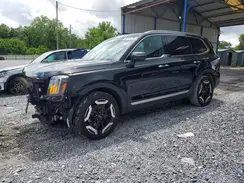 5XYP64GCXRG444773 2024 KIA TELLURIDE