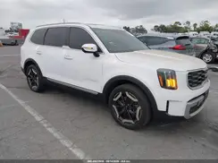 5XYP64GCXRG494475 2024 KIA TELLURIDE