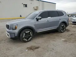 5XYP64GCXRG498364 2024 KIA TELLURIDE
