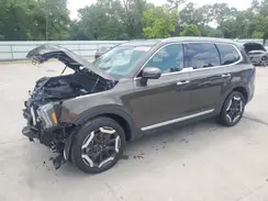 5XYP64GCXRG515289 2024 KIA TELLURIDE