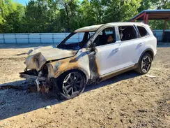 5XYP64GCXRG532383 2024 KIA TELLURIDE