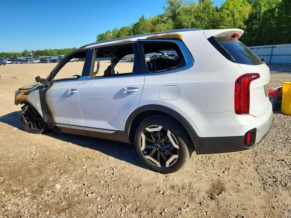 5XYP64GCXRG532383 2024 KIA TELLURIDE - Image 2