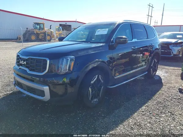 5XYP64GCXRG542475 2024 KIA TELLURIDE - Image 2