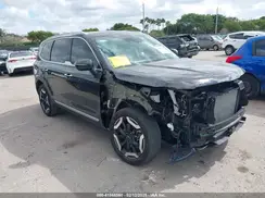 5XYP64GCXRG555033 2024 KIA TELLURIDE