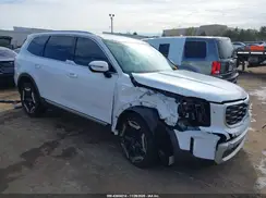 5XYP64GCXSG579290 2025 KIA TELLURIDE