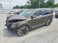 5XYP64GCXSG613373 2025 KIA TELLURIDE