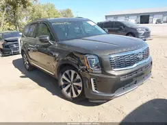 5XYP64HC0LG037440 2020 KIA TELLURIDE