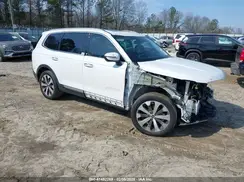 5XYP64HC2LG005623 2020 KIA TELLURIDE