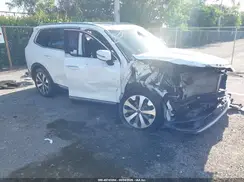5XYP64HC3LG025184 2020 KIA TELLURIDE