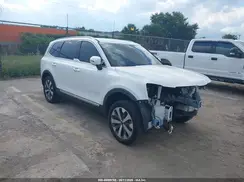 5XYP64HC4LG004599 2020 KIA TELLURIDE