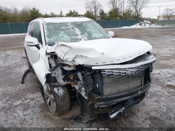 5XYP64HC4LG036632 2020 KIA TELLURIDE - Image 1