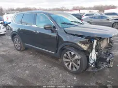5XYP64HC7LG049116 2020 KIA TELLURIDE