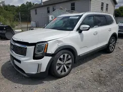 5XYP64HC8LG013550 2020 KIA TELLURIDE