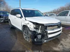 5XYP64HC9LG061218 2020 KIA TELLURIDE