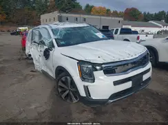 5XYP64HC9LG066645 2020 KIA TELLURIDE