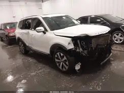 5XYP64HC9MG098819 2021 KIA TELLURIDE