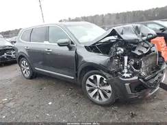 5XYP64HC9MG181165 2021 KIA TELLURIDE