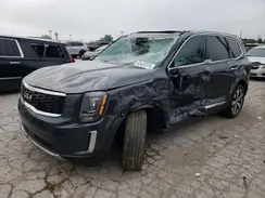 5XYP64HC9NG256884 2022 KIA TELLURIDE