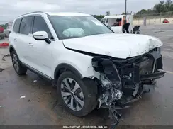 5XYP64HCXLG033539 2020 KIA TELLURIDE