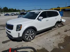 5XYP64HCXLG065309 2020 KIA TELLURIDE