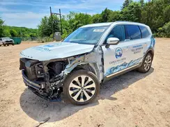 5XYP64HCXLG078156 2020 KIA TELLURIDE
