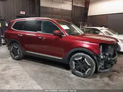 5XYP6DGC0RG415394 2024 KIA TELLURIDE