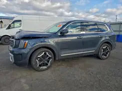 5XYP6DGC0RG502258 2024 KIA TELLURIDE