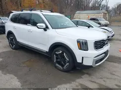 5XYP6DGC0RG518587 2024 KIA TELLURIDE
