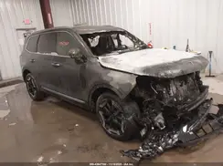 5XYP6DGC0RG520064 2024 KIA TELLURIDE