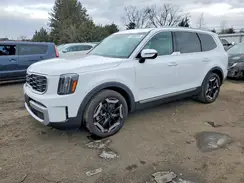 5XYP6DGC0RG520288 2024 KIA TELLURIDE