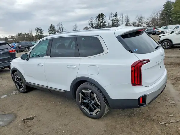 5XYP6DGC0RG520288 2024 KIA TELLURIDE - Image 2