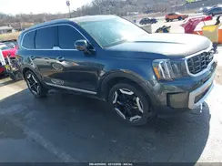 5XYP6DGC0RG527676 2024 KIA TELLURIDE