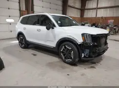 5XYP6DGC0RG530271 2024 KIA TELLURIDE