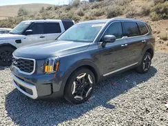 5XYP6DGC0RG542503 2024 KIA TELLURIDE