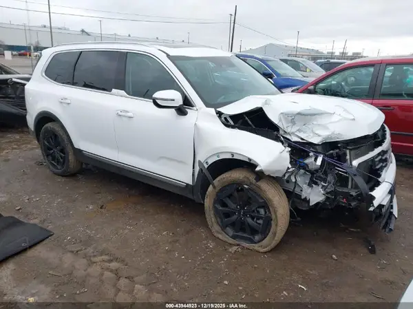 5XYP6DGC0RG562072 2024 KIA TELLURIDE - Image 1