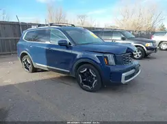 5XYP6DGC0SG581100 2025 KIA TELLURIDE